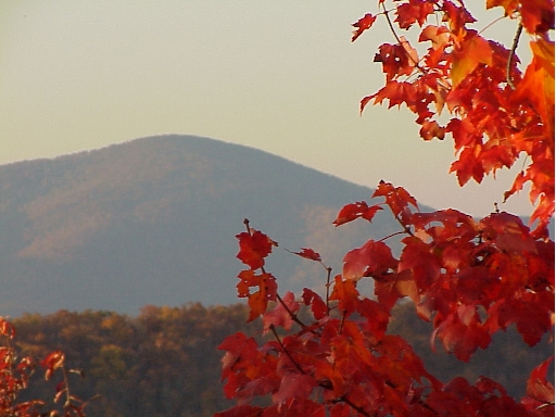 View From the Blue Ridge Park Way