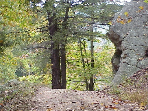 Wild Cat Rock Lost River