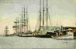 Killam Bros. Ships at anchor in Yarmouth Harbor