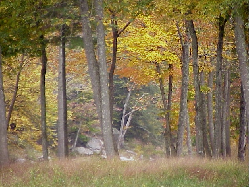 Lost River in the Fall